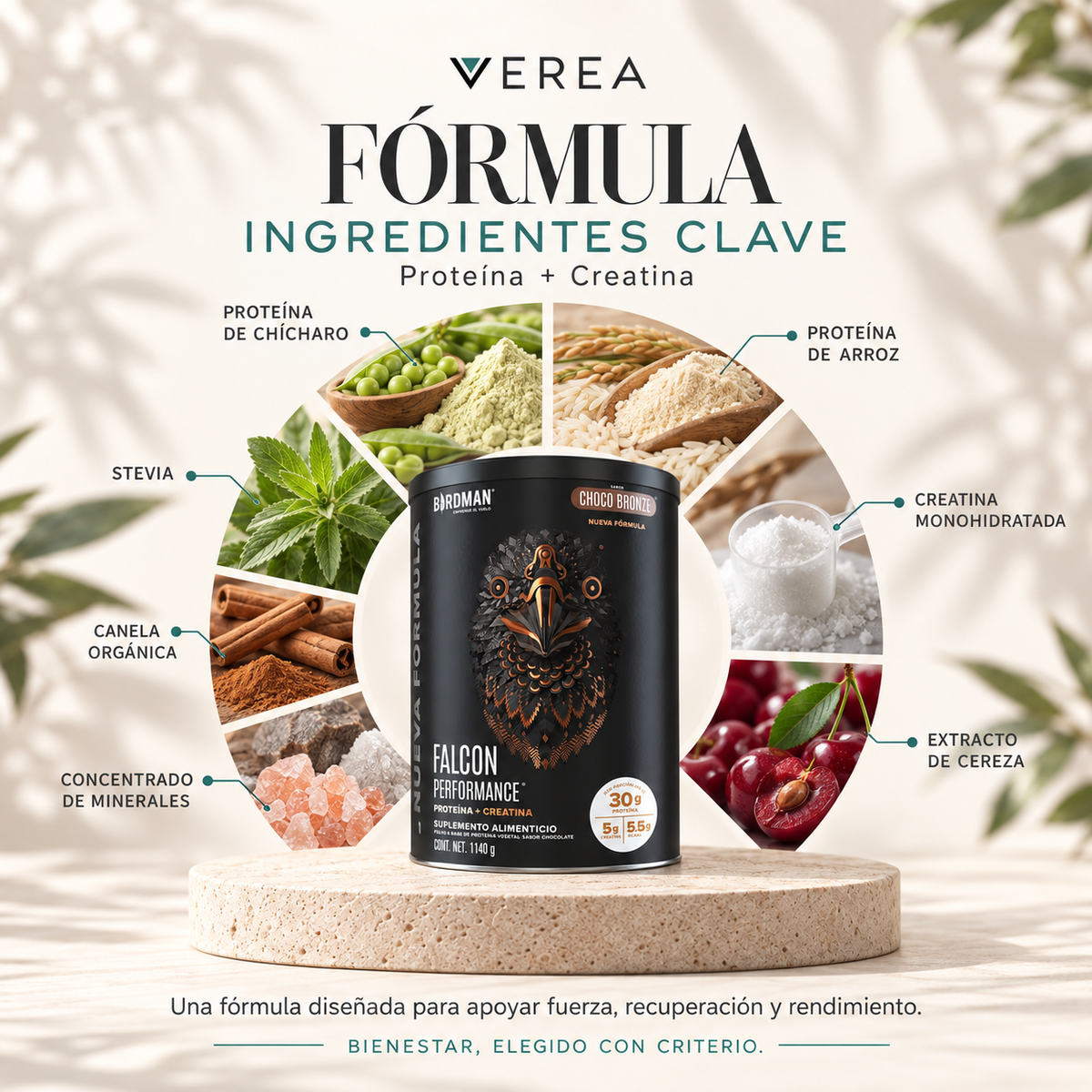 Birdman Falcon Performance 1.140 kg | Proteína Vegetal + Creatina