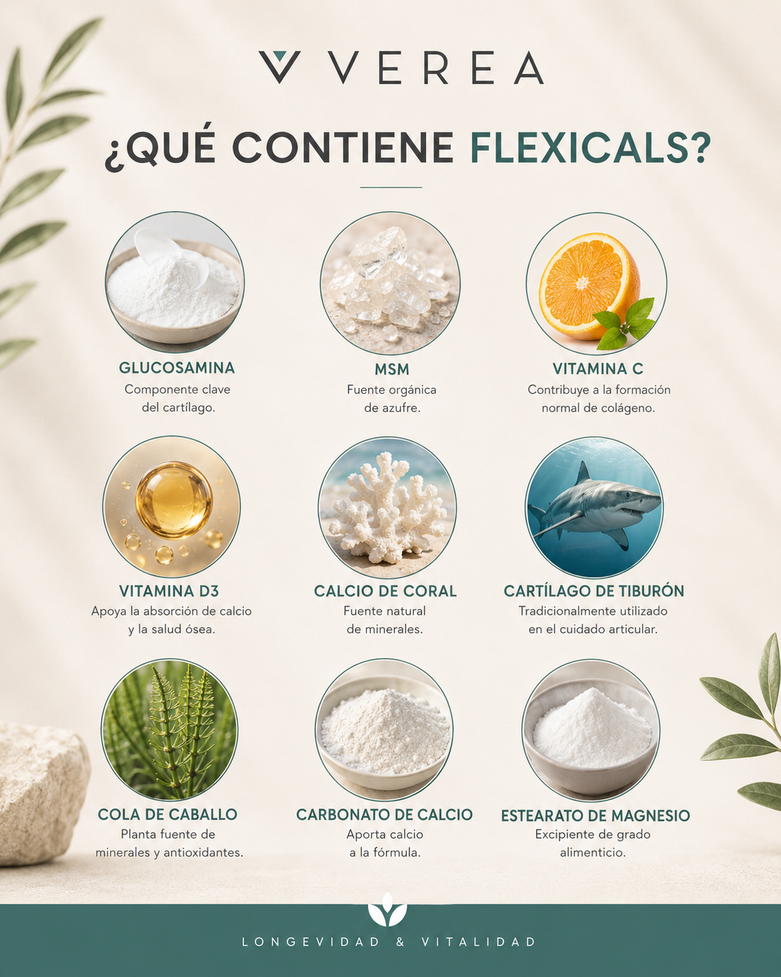 Flexicals® | Muévete mejor, siéntete mejor