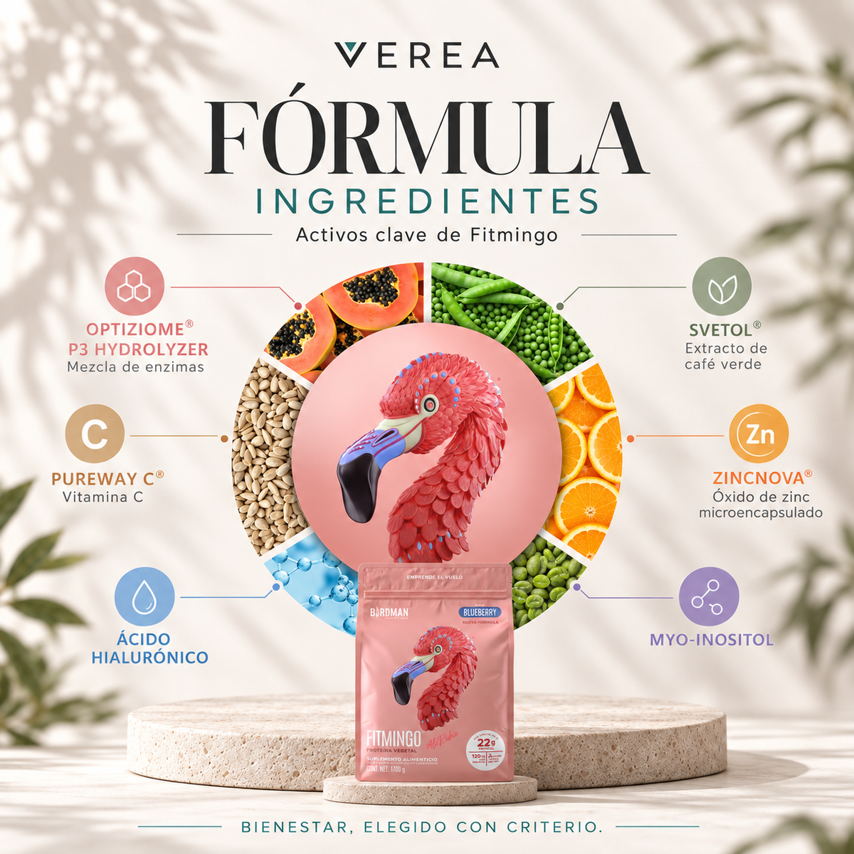 Birdman Fitmingo Protein 1.7 kg | Proteína vegetal con Myo-Inositol