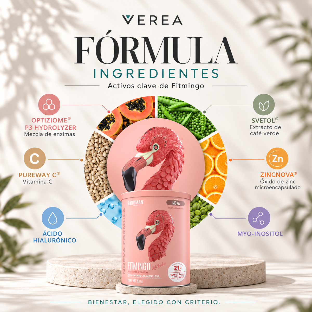 Birdman Fitmingo Protein 510 g | Proteína vegetal con Myo-Inositol