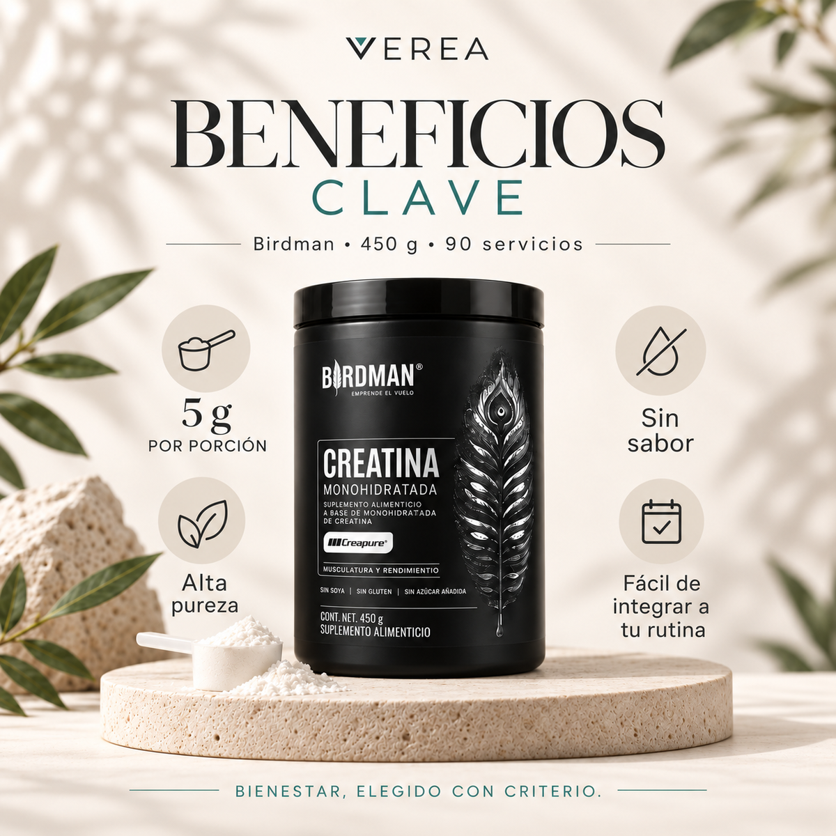 Birdman Creatina Monohidratada 450 g | 90 Servicios