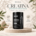 Birdman Creatina Monohidratada 450 g | 90 Servicios